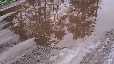 Melting snow forms shallow muddy puddles on a dirt path, reflecting bare trees, with slushy edges, foam patches, and subtle tire