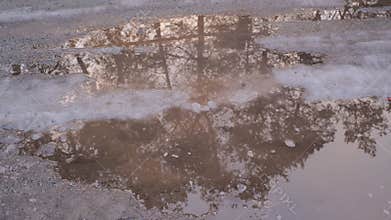 Melting snow forms shallow muddy puddles on a dirt path, reflecting bare trees, with slushy edges, foam patches, and subtle tire