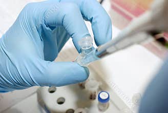 Biotech lab hands