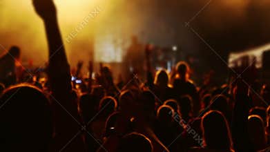 Hands and Heads of Spectators at a Concert