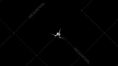 Space Shuttle flies