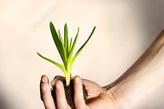 Plant Nurture- New Growth