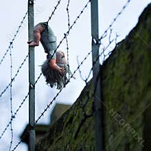 Doll hanging from barbed wire fence