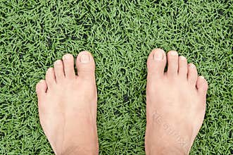 Feet