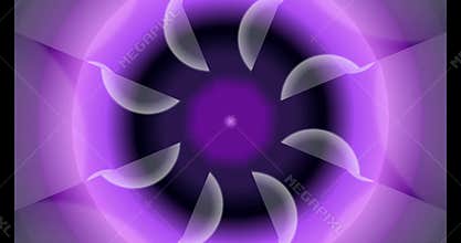 Purple Geometric Patterns and Floral Motifs