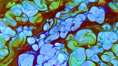 Slow Motion Macro Abstract Pattern Artistic Concept Color Surface Moving Surface Liquid Paint Splashing Art Design Texture