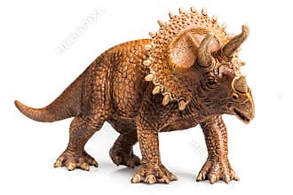 Triceratops
