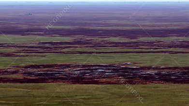 Florida Everglades burnt aftermath from 2025 wildfires