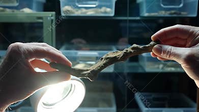 AI Hands examine artifact in museum display