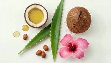 Natural beauty ingredients featuring coconut oil aloe vera almonds and hibiscus flower
