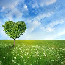 Tree of love