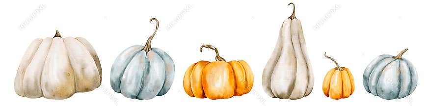 Trendy pastel pumpkin clip art collection featuring isolated autumn vegetables for fall-themed designs and celebrations