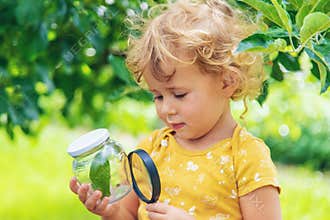 A child studies a beetle in a jar with a magnifying glass. Selective focus.