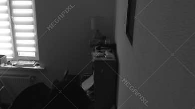 A masked thief or bandit removes a painting with a safe underneath and robs a house, as seen in the video from a