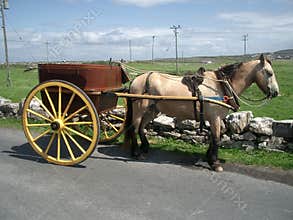 Carriage on Aran Islands