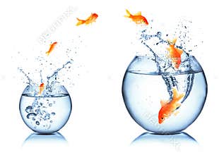 Career and growth concept