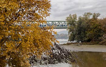 Autumn bridge over the river with golden leaves