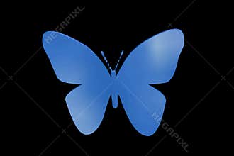 Blue butterfly