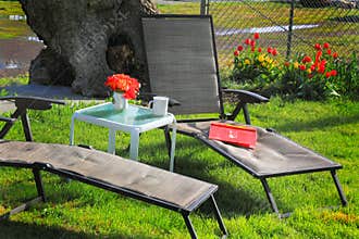 Spring Relaxation Station
