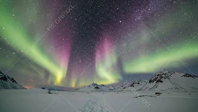 Aurora Borealis
