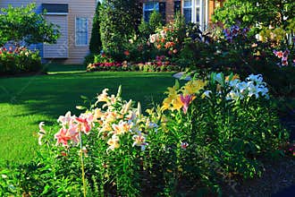 Home Landscaping