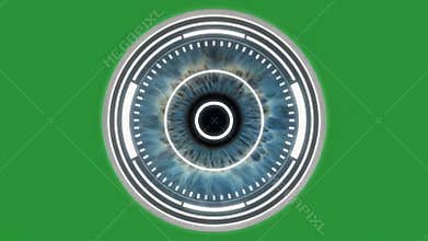 Scientific Visualization of the Human Iris and Pupil Internal Structure.