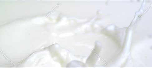 Slow motion almonds falling into milk. Milky splash