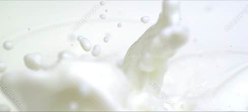 Slow motion almonds falling into milk. Milky splash