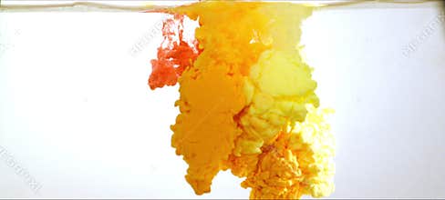 Vivid paints slowly bloom and dance in clear water. Mesmerizing fluid art