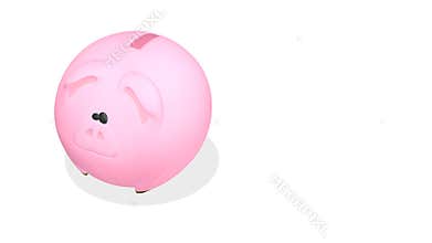 Piggy bank on a roll