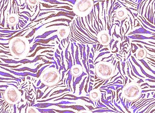 Light abstract animal seamless texture with tiger skin imitation.