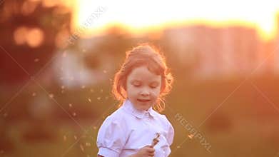 Little girl run and play. They blow dandelion. sunset