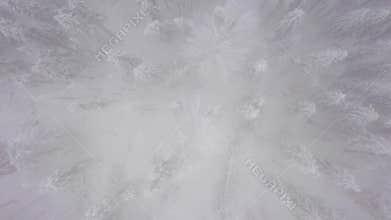 Aerial view of a snowmobile that rides in the middle of a fabulous snowy forest.