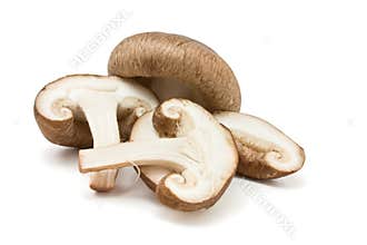 Shitake Mushrooms