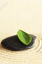 Japanese zen garden