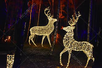 Fairy tale forest with illuminated animals