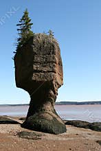 Bay of Fundy