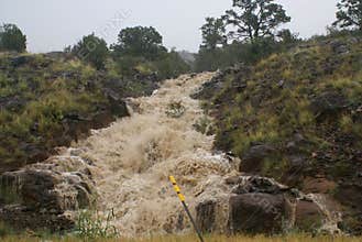 Flash Flood