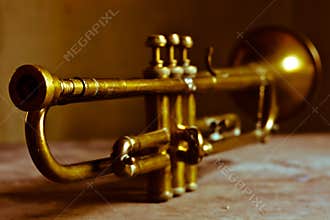 An ancient and beautiful jazz trumpet