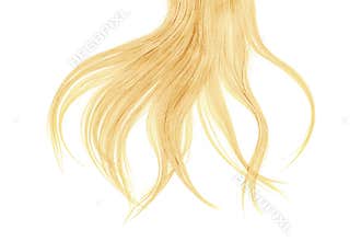 Bad hair day concept. Long, blond, disheveled ponytail