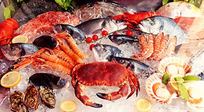 Variety of sea food