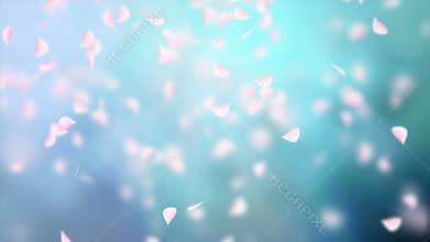 White petals of sakura falling on romantic abstract background. Looped 4K motion spring blossom graphic.
