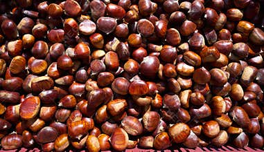 Chesnut background pattern in Granada