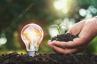light bulb on soil and hand holding small tree. power energy in nature