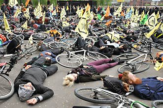 Environmental Activists  against the killing of bees in London