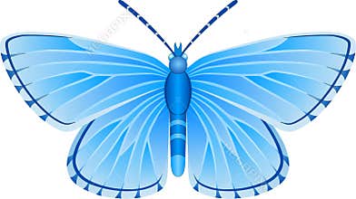 Albulina orbitulus blue butterfly vector image