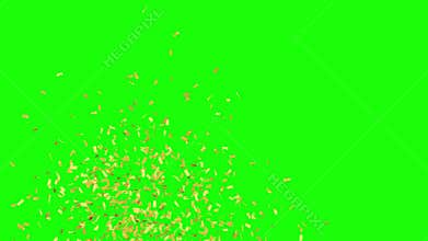 Luxury gold confetti party popper explosion isolated on green screen background