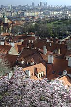 Prague spring, Czech Republic