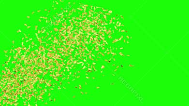 Luxury gold confetti party popper explosion isolated on green screen background