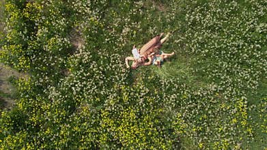Aerial: Young blonde hippie mother having quality time laying lying with her baby girls at a park dandelion field -